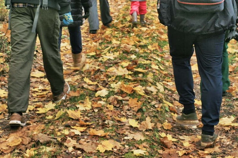 Visaginas: Wild Nature Hiking at Grauts Regional Park - Authentic Reviews: What Visitors Say