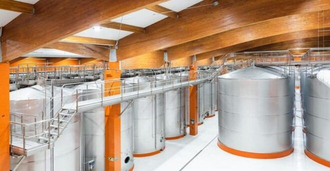 Visit 2 Wine Cellars, a Wine Museum and a Traditional Meal - Customer Reviews