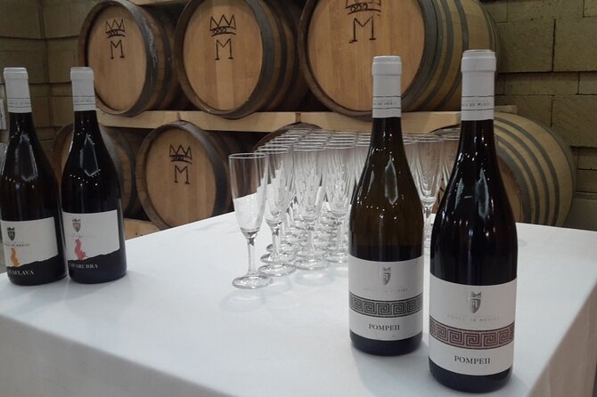 Visit 2 Wine Producers With Tasting and Transportation Included - Tour Highlights