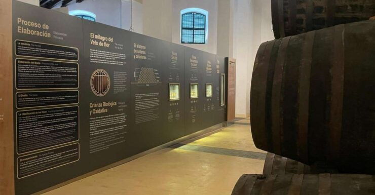 Visit a Century-Old Winery in the Centre of Jerez - Good To Know
