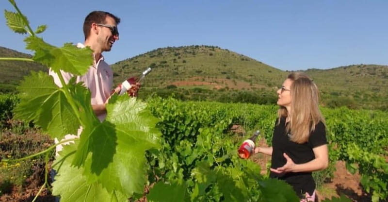 Visit a wine cellar, a wine museum and a traditional meal - Who Will Love This Tour?