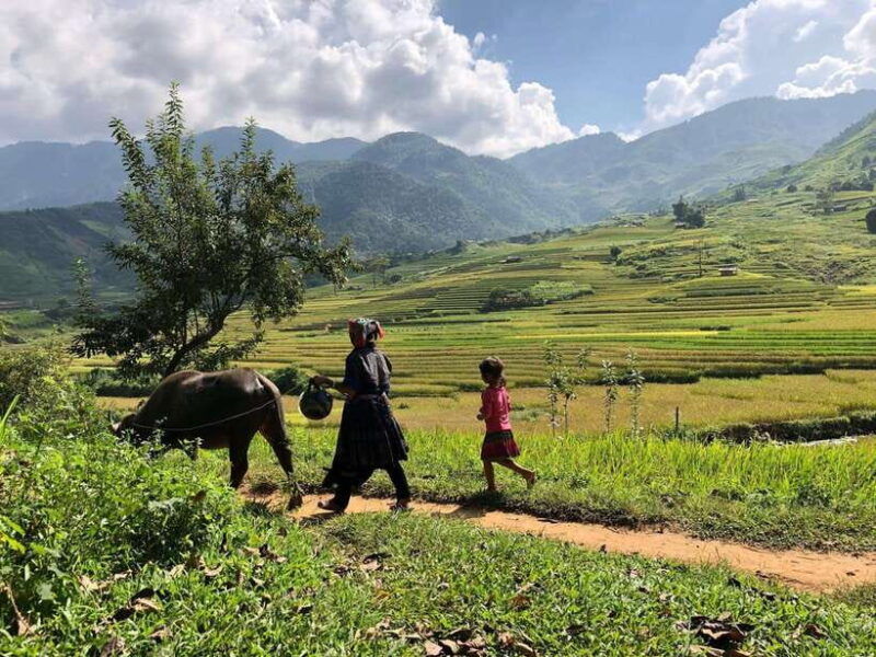 Visit All Place in Sa Pa With Easy Riders - Good To Know