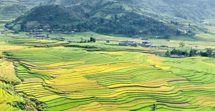 Visit All Place in Sapa 1 Day - Private Tour by Car - Good To Know