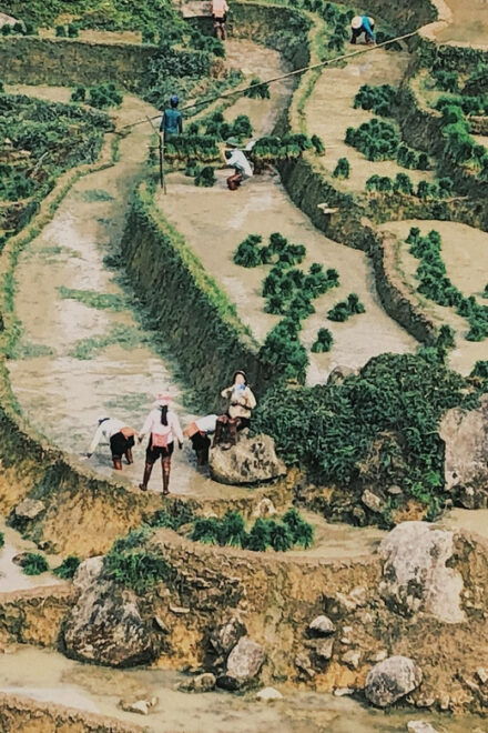 Visit All Place in Sapa 1 Day - Private Tour by Car - Key Attractions