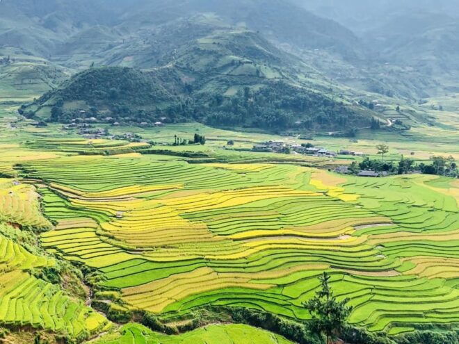 Visit All Place in Sapa 1 Day - Private Tour by Car - Cultural Experiences