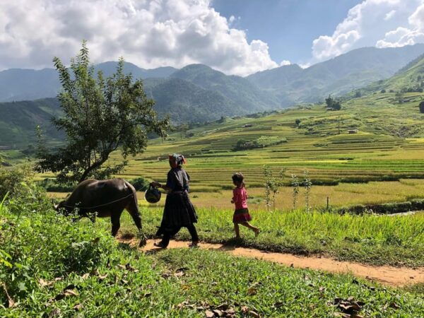 Visit All Place in Sapa by Car (Start From Ha Noi by Bus) - Booking and Cancellation Policy
