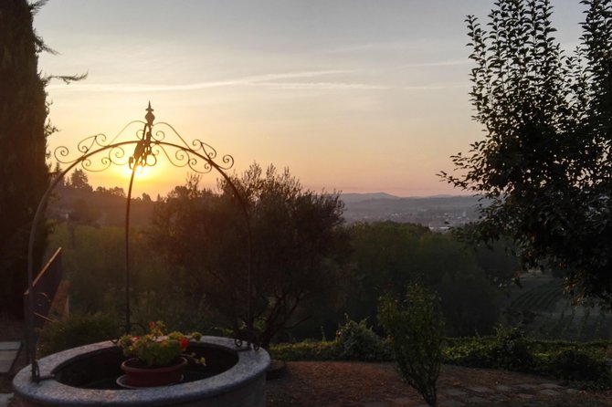 Visit Among Vineyards and Wine Cellar With Wine Tasting in Nizza Monferrato - Activity Details