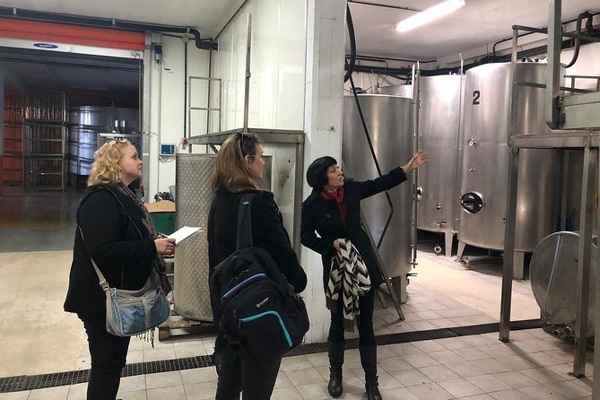 Visit and Private Tasting at the Txakolí Gaintza Winery - Meeting and Pickup Information