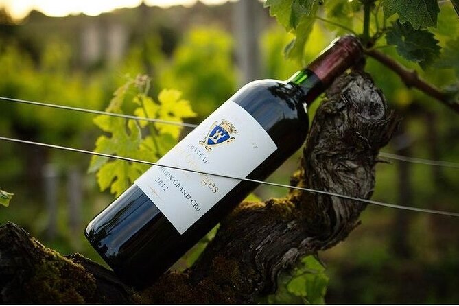 Visit and Tasting Château Saint-Georges Cote Pavie, Grand Cru Classé - Common Questions