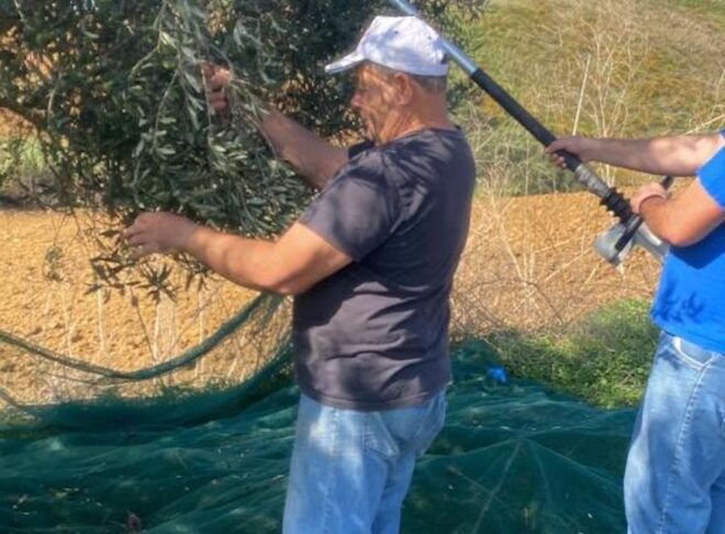 Visit and Tasting of Typical Products on a Farm in Segesta - Booking Information