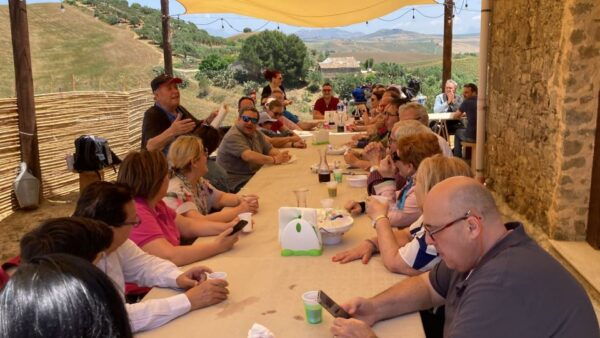 Visit and Tasting of Typical Products on a Farm in Segesta - Directions