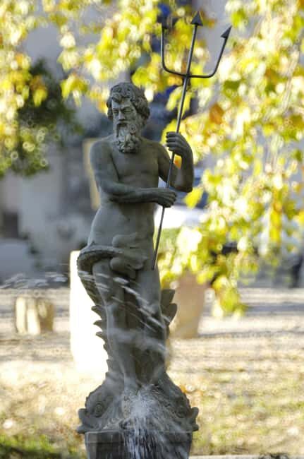 Visit and tasting - The essential - Discovering Château Capion: An Authentic Wine Experience in Occitanie