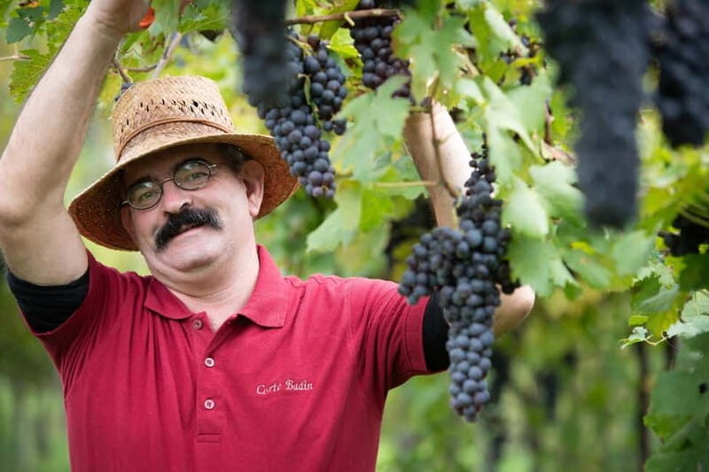 Visit and tasting with the producer - What Guests Say About the Experience