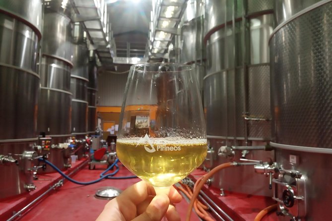 Visit and Wine Tasting at BODEGA PIRINEOS - Alcoholic Beverages