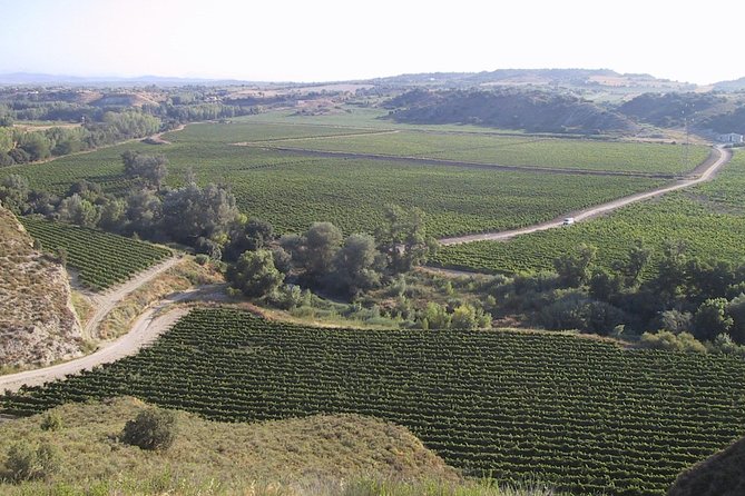 Visit and Wine Tasting at BODEGA PIRINEOS - Common Questions