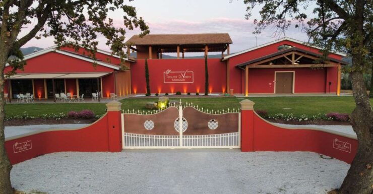 Visit and Wine Tasting in the Heart of the Bolgheri Doc - Experience Details