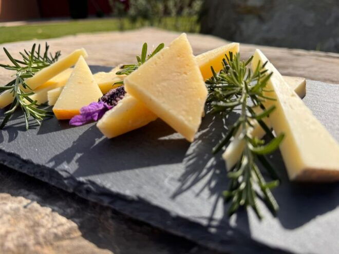 Visit and Wine Tasting in the Heart of the Bolgheri Doc - Background