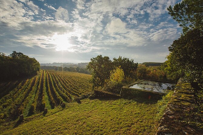 Visit and Wine Tasting: the Musketeers Wine - Reviews