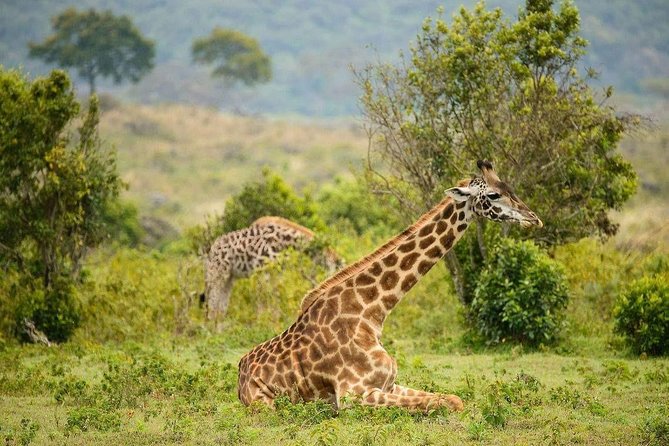 Visit Arusha Coffee Plantation Day Tour - Tour Details