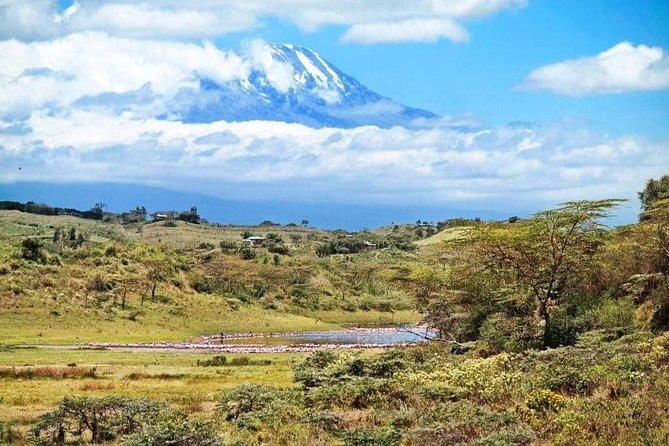 Visit Arusha Coffee Plantation Day Tour - Frequently Asked Questions