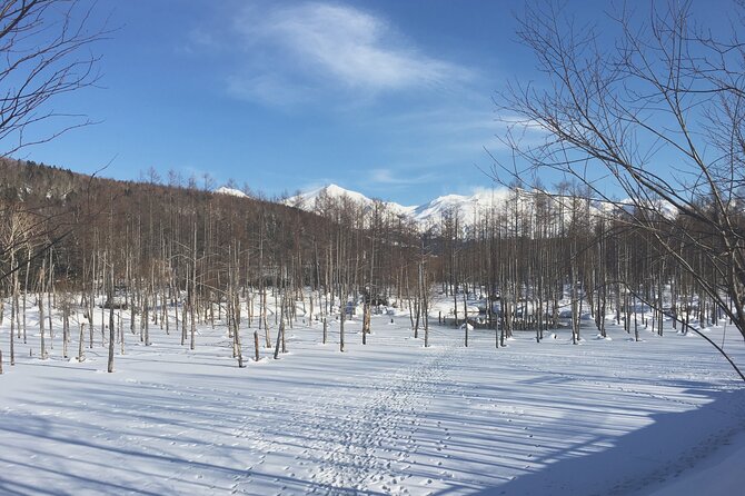Visit Asahiyama Zoo, Fascinating Aoi-Ike and Shirohige Falls! - Pricing and Value: Making the Most of Your Budget