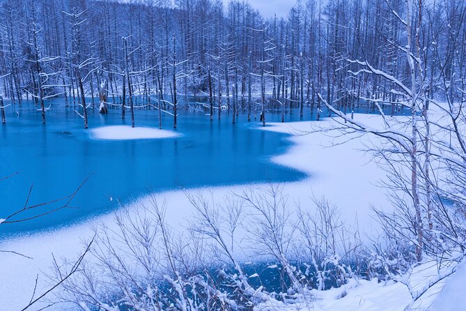 Visit Asahiyama Zoo, Fascinating Aoi-Ike and Shirohige Falls! - Booking and Reservation: Securing Your Spot in Advance