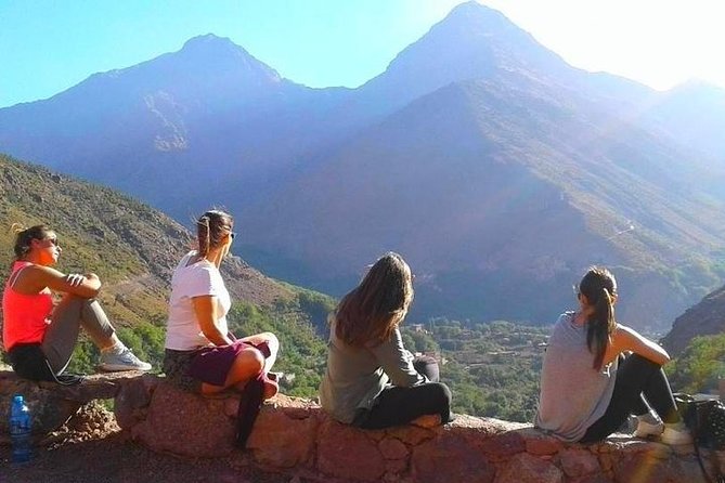 Visit Atlas Mountains and Agafay Desert With Camel Camel Experience - Reviews