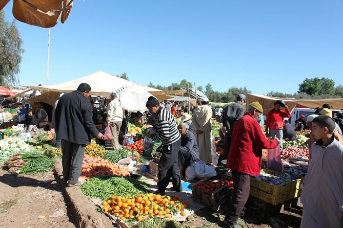 Visit Atlas Mountains and Agafay Desert With Camel Camel Experience - Start Time and End Point