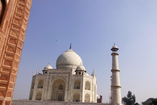 Visit Bear Rescue Center From Agra - Additional Wildlife and Bird Watching