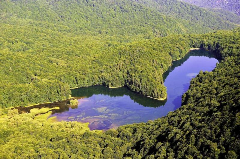 Visit Biograd lake, city Kolasin and Canyon. - An In-Depth Look at the Tour Experience