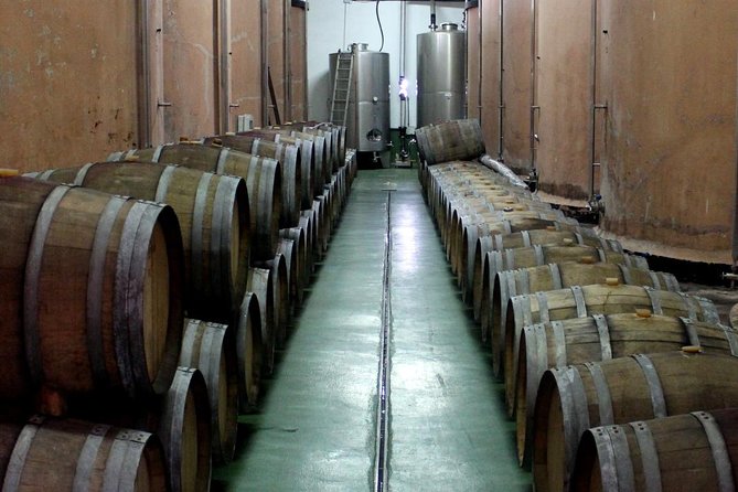 Visit Bodegas Teneguía Winery in La Palma With Wine Tasting - Additional Information and Cancellation Policy