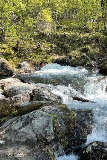 Visit Bubbelen, River Comes Out of the Ground. - Itinerary