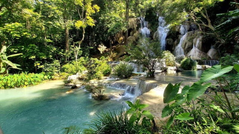 Visit buffalo farm, cooking-class forest, Kuang Si waterfall - Good To Know  