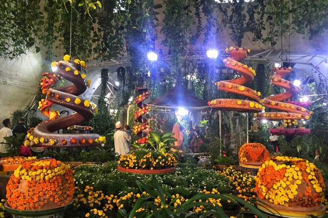 Visit Butterfly Garden in Dubai - Directions