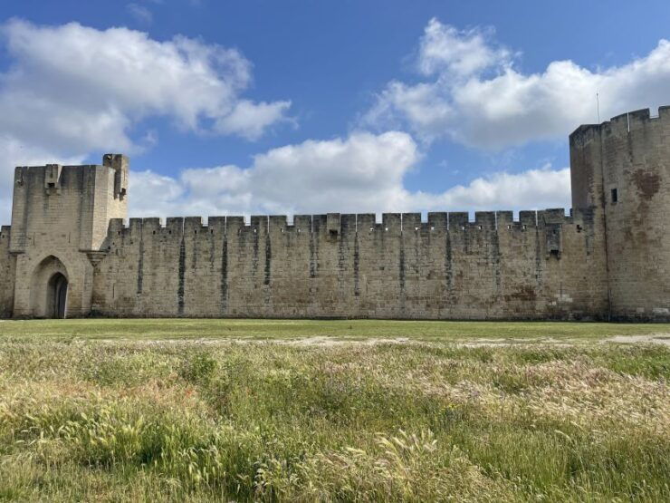 Visit Camargue and Espiguette Lighthouse From Montpellier - Activity Details