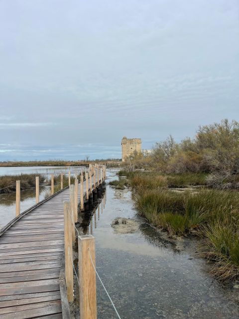 Visit Camargue and Salt Marshes From Montpellier - Tour Duration and Availability