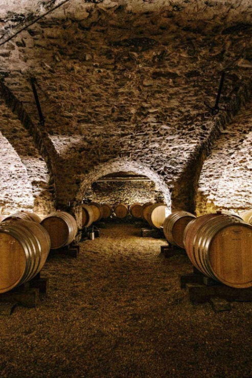 Visit: Château Du Moulin-à-Vent, a History of Terroirs! - Key Points