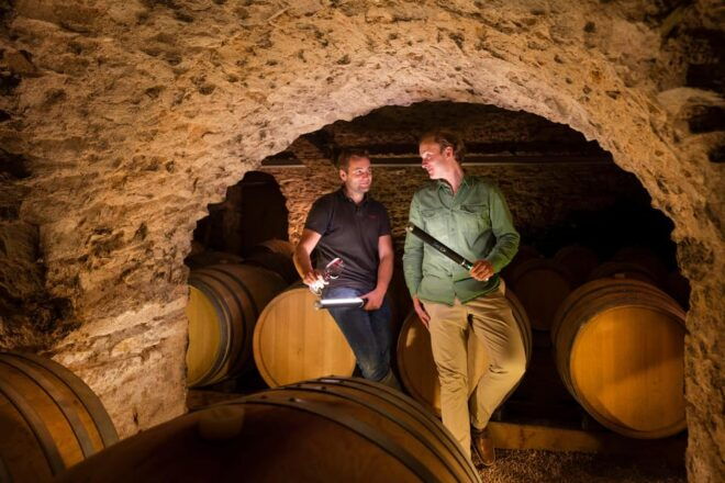 Visit: Château Du Moulin-À-Vent, Where Time Is an Ally - Exploring the Vineyard Landscape