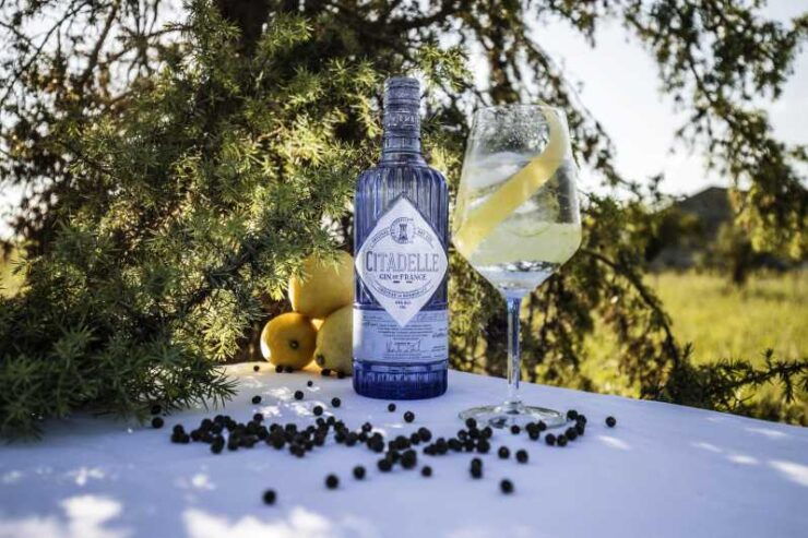 Visit Citadelle Gin Distillery - Experience Overview