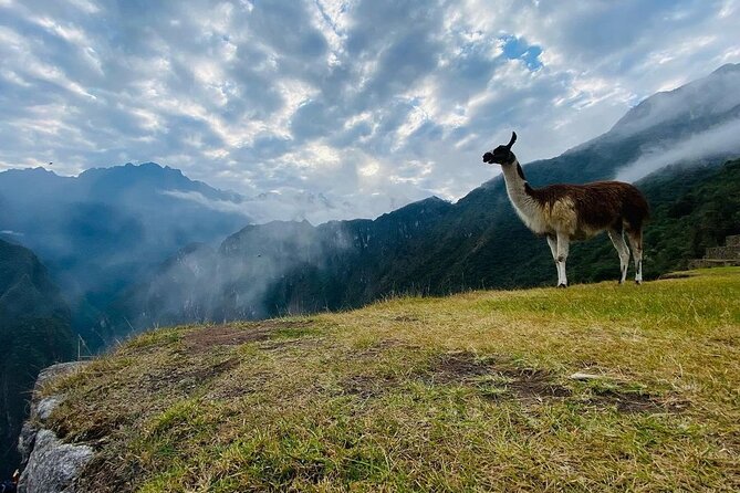 Visit Cusco & Machu Picchu in 5 Days / 4 Nights - All Inclusive - Inclusions