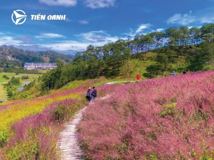 Visit Da Lat - "City of Eternal Spring" From Sai Gon or Back - Transportation Options