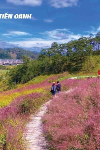Visit Da Lat - "City of Eternal Spring" From Sai Gon or Back - Frequently Asked Questions