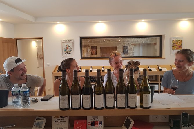 Visit Domaine Bourgogne - Guided Wine Tasting - Overview