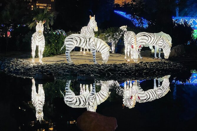 Visit Dubai Garden Glow With Optional Pick up and Drop off - The Sum Up