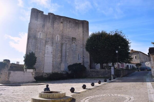 Visit EVERYTHING in the Region of Poitiers in a Day-Tour - Questions You May Have