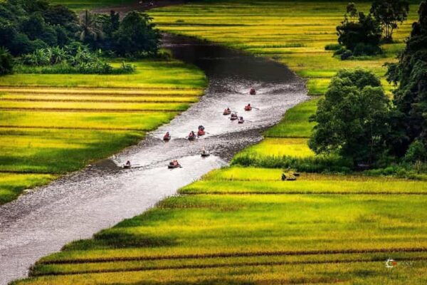 Visit Famous Spots And Admire Birds In Ninh Binh For 2 Days - Pickup and Transportation