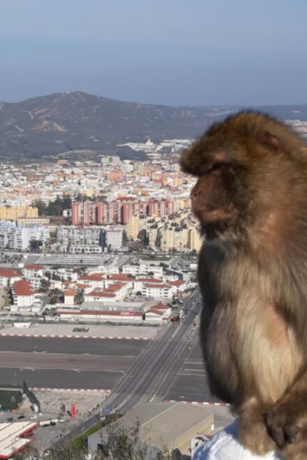 Visit Gibraltar From the Costa Del Sol - Key Attractions