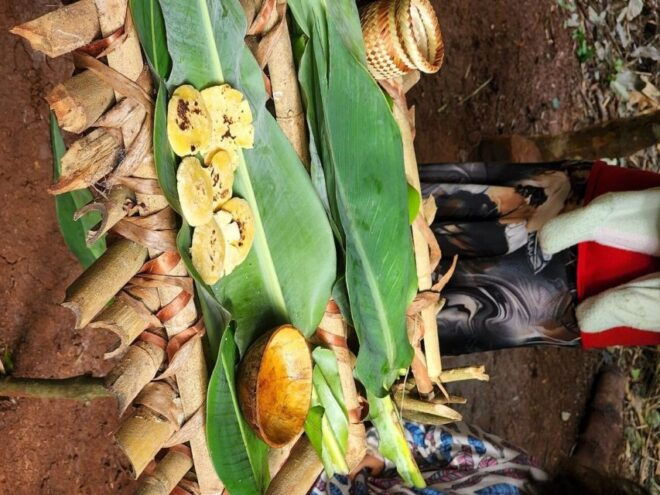 Visit Guarani Village at Mborore Fort With Brunch - Reservation Process
