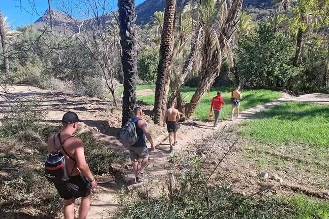 Visit Guided to Paradise Valley Half Day From Agadir - Pickup Options