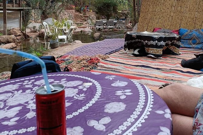 Visit Guided to Paradise Valley Half Day From Agadir - Frequently Asked Questions